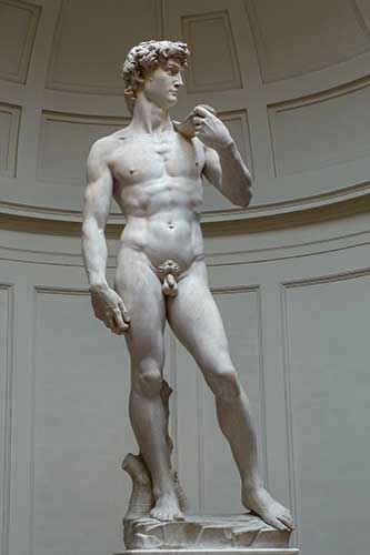 Il "David" di Michelangelo