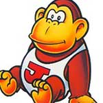 Donkey Kong Jr.