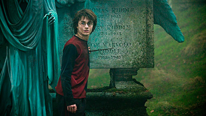 Hermione, Harry e i Weasley alla Coppa del Mondo di Quidditch