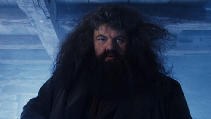 Rubeus Hagrid