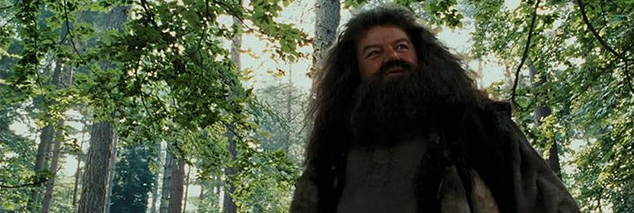 Rubeus Hagrid, divenuto in questo episodio insegnante
