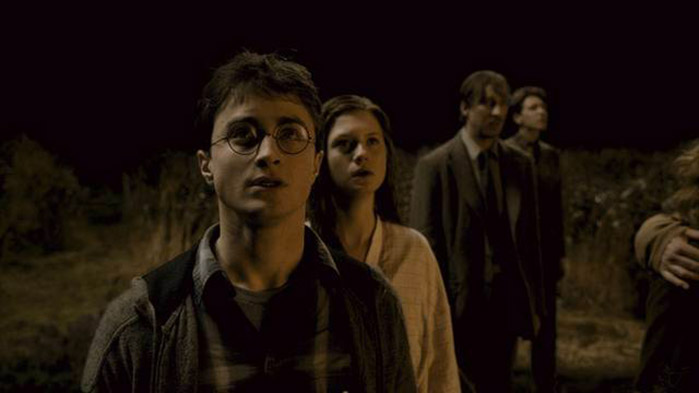 Hermione, Harry e i Weasley alla Coppa del Mondo di Quidditch