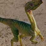 Compsognathus