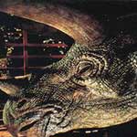 Triceratops