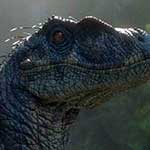 Velociraptor