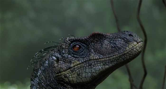 Jurassic Park III