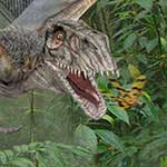 Dimorphodon