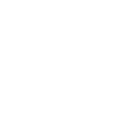 IT project management