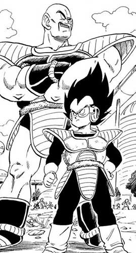 Nappa e Vegeta