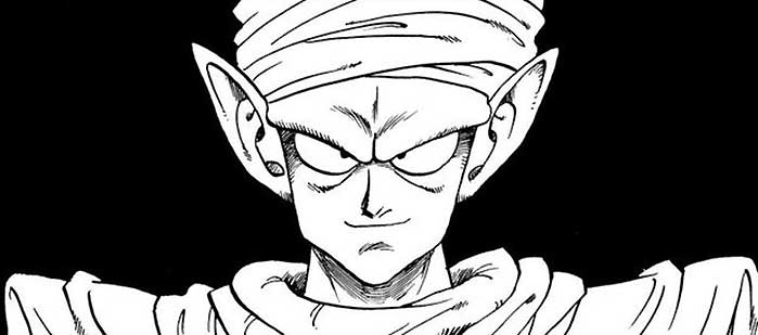 Piccolo... Cresciuto