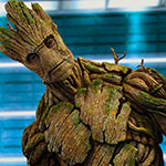Groot