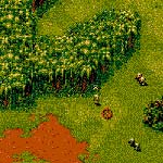 Cannon Fodder