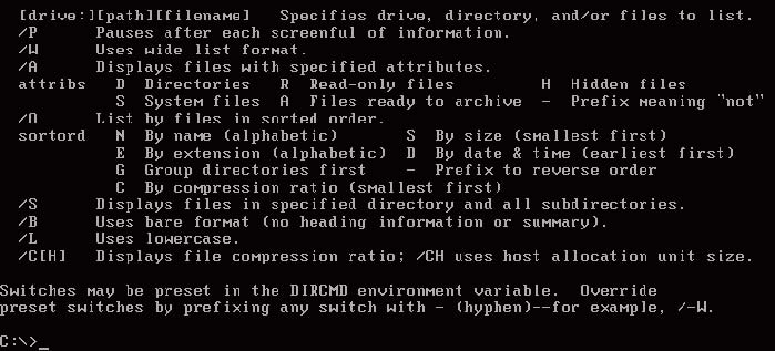 La generica schermata di MS-DOS