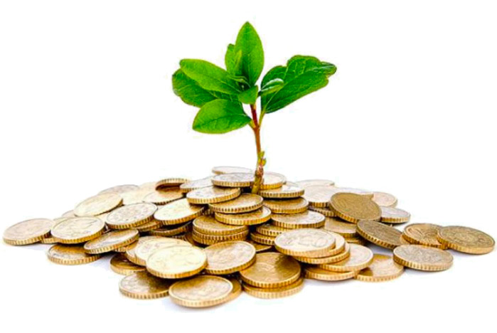 Lo specialista SEO e SEM per la tua azienda